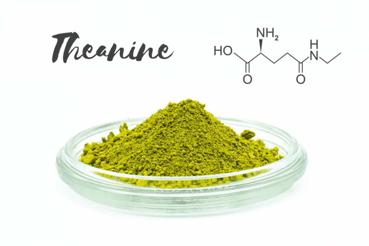 Can L-Theanine Make You Feel More Alert and Relaxed at the Same Time?