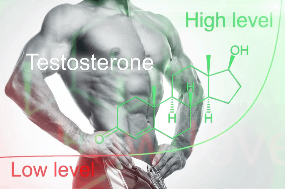 Got Low Testosterone? Feel Tired? Can Testosterone Boosters Help You?