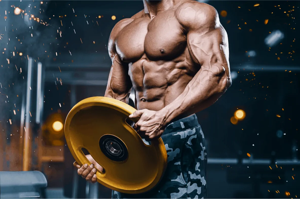 Nitric Oxide Boosters for Muscle Pumps and Blood Flow
